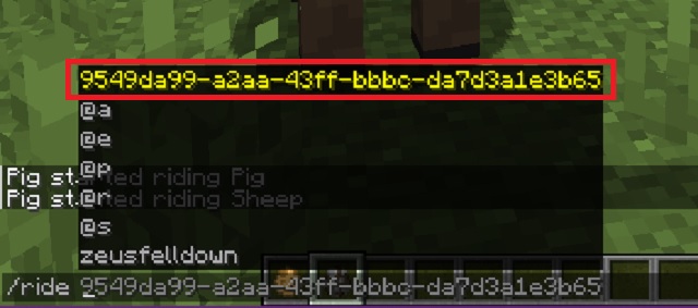 Minecraft లో ఎంటిటీ ID - Minecraft లో రైడ్ కమాండ్ ఎలా ఉపయోగించాలి